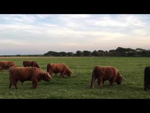 Ein Wochenende auf Langeoog