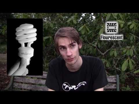 DSLR Basics: White Balance