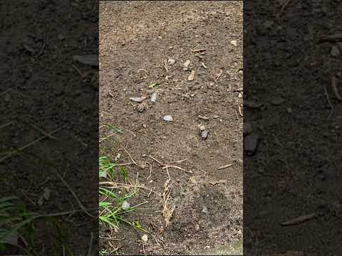 callendo graniso en Puerto El Triunfo 😱