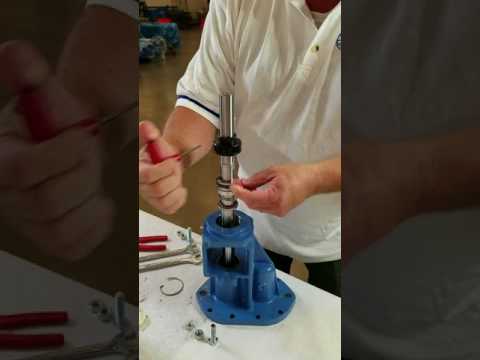 download lagu mp3 mp4 Ranger Pumps, download lagu Ranger Pumps gratis, unduh video klip Ranger Pumps