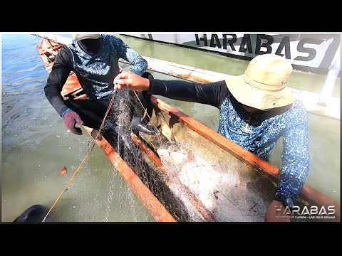 EP217-Part2 - Pamamanti at Paninimbog | Update sa Bahay ni Mr. Niceguy | Occ. Mindoro