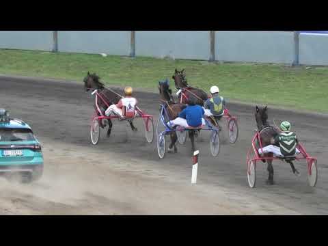 Trka "Mirko Babičković" 30.05.2021 Iggy de Sajan - Andor Vereb