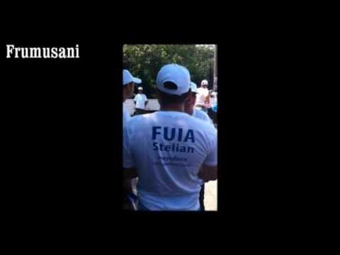 Alianta Popular-Crestina, Frumusani, Calarasi