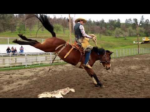 Epic Bronc Riding Practice - 3-24-19 | Veater Ranch