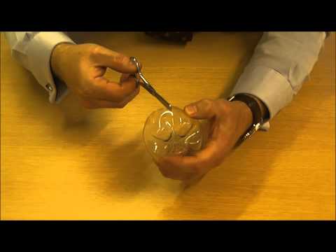 How to make a plastic bottle white rose