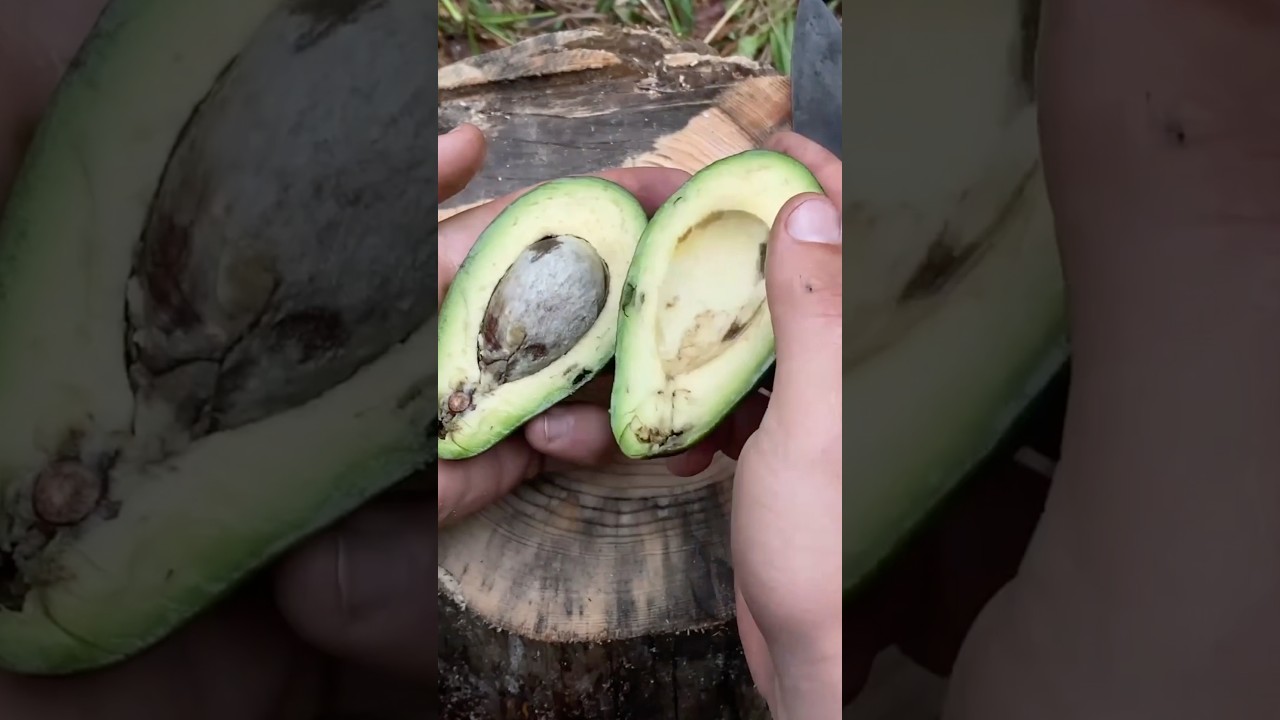 Morning Alone in the Wild 🌲 Simple Breakfast & Moving On #Shorts