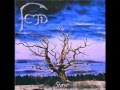 Fejd - Storm 