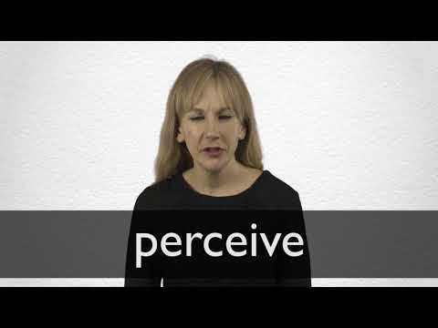 Perceive Synonyms | Collins English Thesaurus