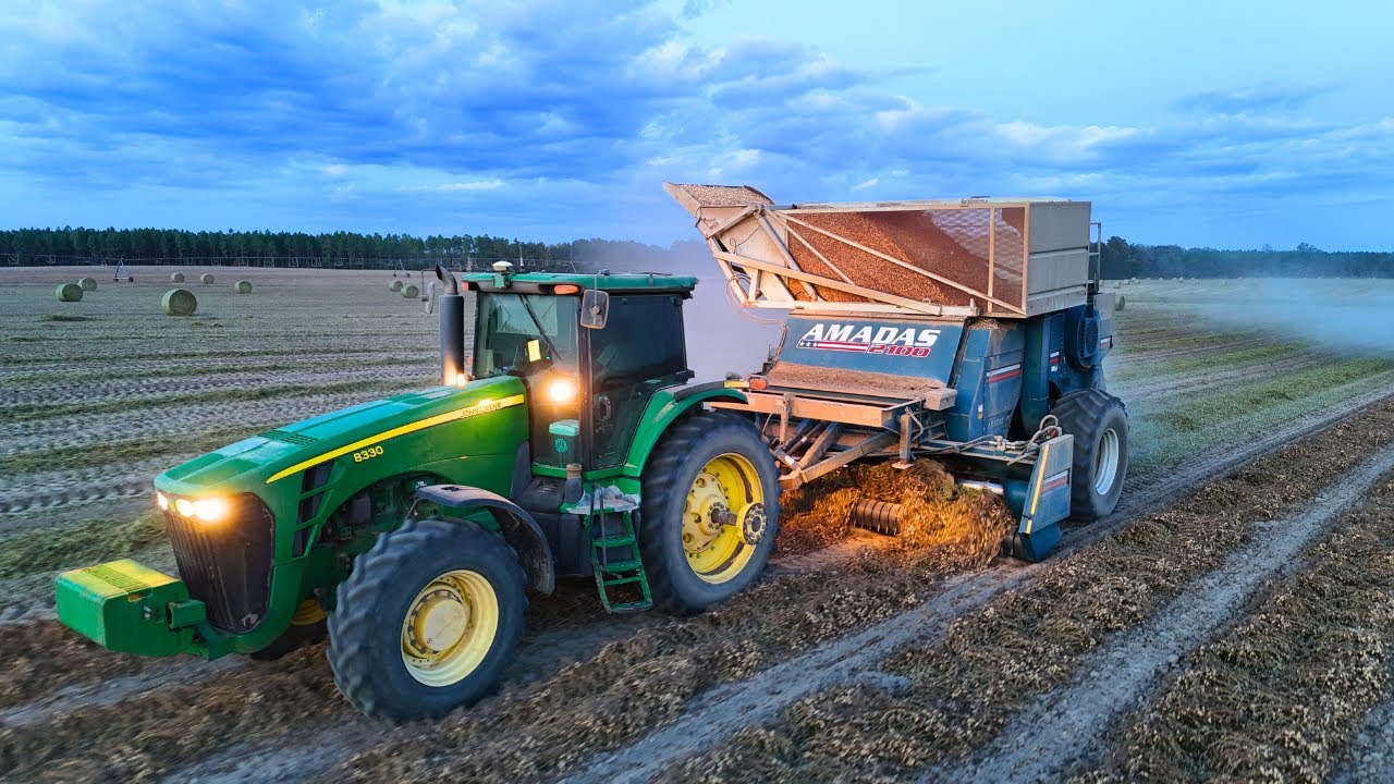 Best Peanuts Of The Year