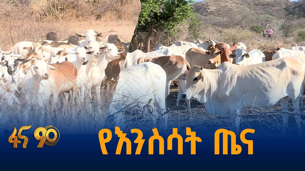 የሌማት ትሩፋትና የእንስሳት ሃብት ልማት