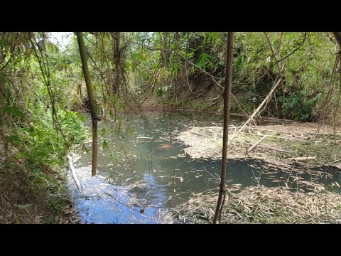 SE03EP047 Part 1 - " PAKIRAMDAMAN sa  TAHIMIK na ILOG | San Pablo City, Laguna