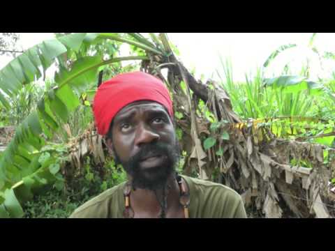What is Rastafari?