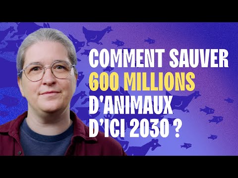 The Rescue of the Century: A Campaign to Save 600 Million Animals