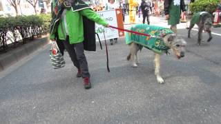 St.Patrick&#39;s Day Parade Tokyo 2014