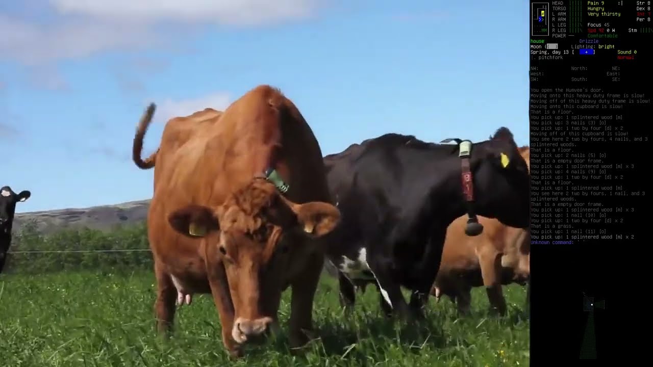 Trying to Explain Cataclysm Dark Days Ahead to Literally Any Normal Person