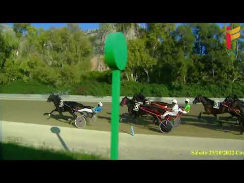 V Corsa del 29 ottobre 2022 - Cat. D/E - Metri 2000/2020 Gentlemen propr.