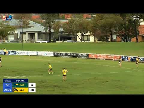 Round 12 SANFL Snapshot - Eagle Zane Williams threads the needle