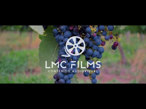 Publicidad | Fiesta de la Vendimia 2023 | Club. Atlético. Artesano - El Caño