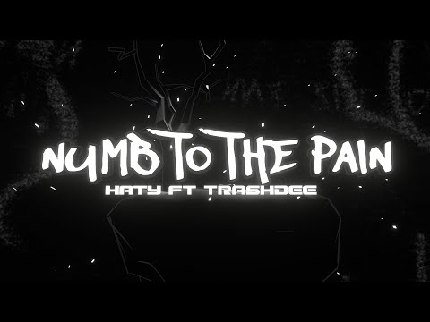 NUMB TO THE PAIN- YungHaty ft Trash Dee @trashdee999  ( OFFICIAL LYRIC VIDEO)