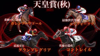天皇賞秋、勝つ
