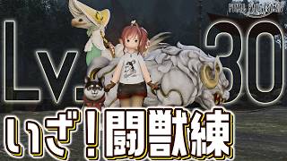 【FF14/Meteor】いざ！闘獣練！｜魔獣使い｜ときどきモグコレ？｜黄金7.56｜配信80日目｜※ネタバレ注意