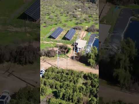 Terralink: Proyecto Solar Fotovoltaico en Limache (Agrícola Santa Ana del Pangal)