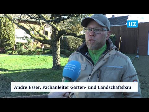 Obstbaumschnitt im Februar