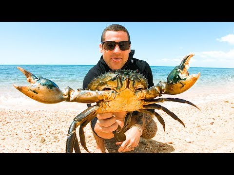 YBS Lifestyle Ep 37 - How To Catch Monster Mud Crabs