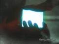 animorphs the capture animorphs the capture