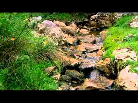 Richard Dawkins - The Enemies Of Reason - Episode 1 - Slaves to Superstition