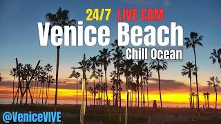 Venice Beach LIVE CAM 24/7 | Sunset🌅 & Surf Vibes 🌊 | Boardwalk, Plaza & Ocean View 4K live webcam
