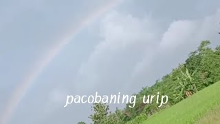 Download lagu Story wa pacobaning urip||siho akustik mp3