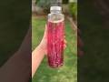 Beetroot Detox Drink For Glowing Skin Good Hair And Healthy Gut Weightloss Drinks Recipe