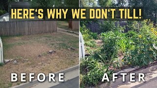 Never Till Again! How To Transform Land Into GARDEN [Fast!]