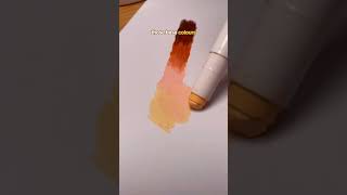 Do these silky crayons have skin tones #art #crayon #artsupplies #review