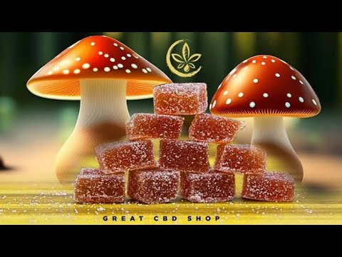 Deliciously Fun: Exploring the World of Mushroom Gummies