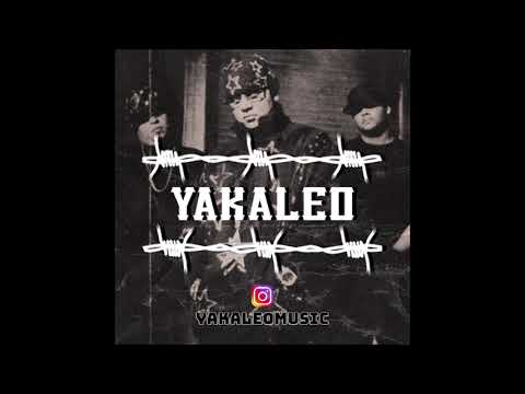 YAKALEO MIX #2 - ⚡VAMOS PAL PERREO, GUARDEN LAS PISTOLAS⚡ / REGGAETON MIX