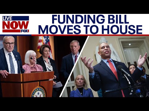 Video | Senate Democrats face pushback for advancing shutdown funding bill