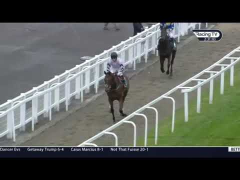 Al Dancer wins Novice chase at Cheltenham 2019