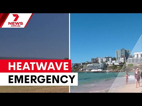East coast heatwave sparks bushfire emergency | 7NEWS