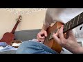 Bela Fleck & The Flecktones  "Reprise"  Guitar Cover
