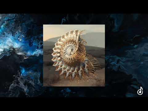 Innellea & Colyn feat. braev - Downfall (Acapella)