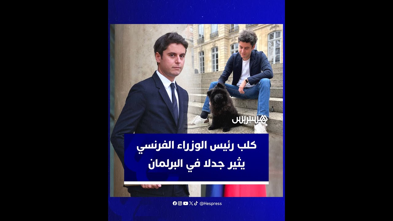 رئيس الوزراء الفرنسي غابرييل أتال يثير غضب المعارضة بسبب عرضه صورة جرو على هاتفه داخل البرلمان thumbnail