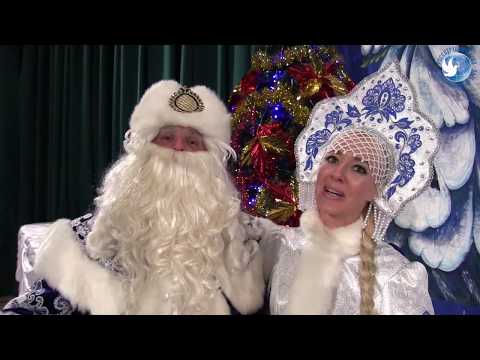 Skazochnaya Novogodnyaya Elka | Kontramarka.de