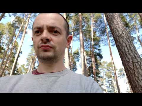 Pădurea din Săcele