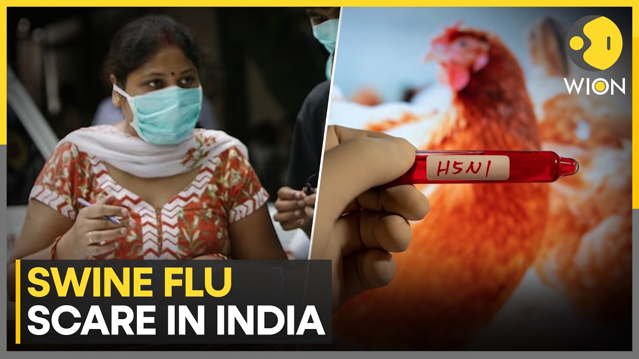 Swine Flu Scare: More Than 1,300 Cases Reported In New Delhi | WION News