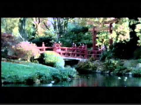 ROH - Du brennst immer noch in mir