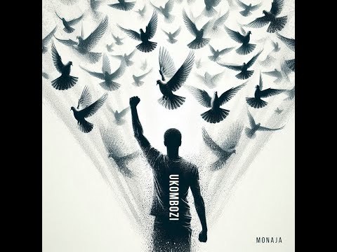MONAJA - Ukombozi (Visualizer)