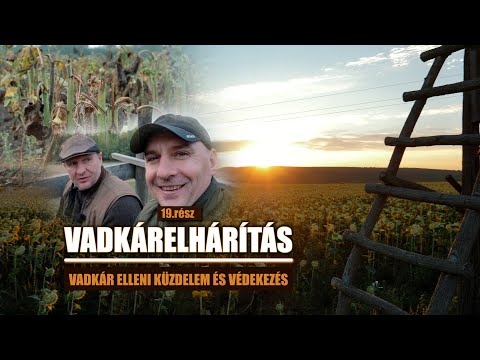 Vadkaland (19.rész) - VADKÁRELHÁRÍTÁS
