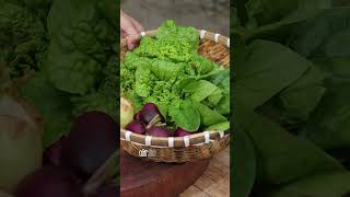 Download lagu #tuduytaichinh #nhanquacuocsong #bienthuithanhno #songthucte#tudungmo #quanlytaichinh mp3 Download lagu #tuduytaichinh #nhanquacuocsong #bienthuithanhno #songthucte#tudungmo #quanlytaichinh mp3